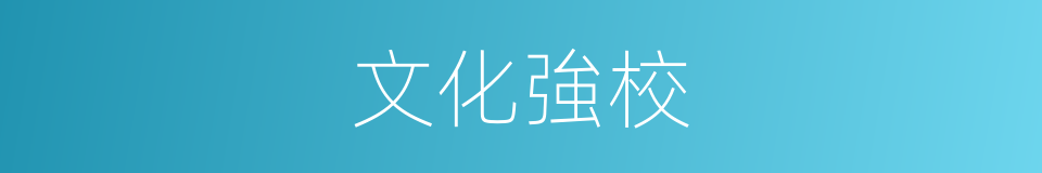 文化強校的同義詞