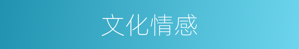 文化情感的意思
