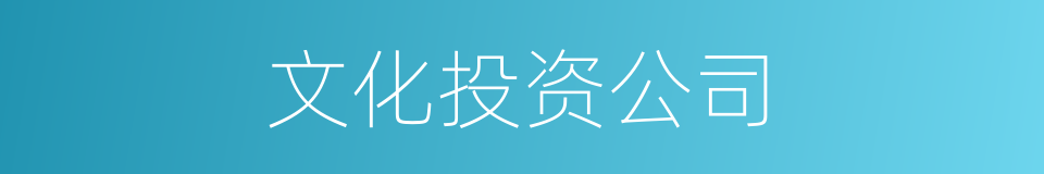 文化投资公司的同义词