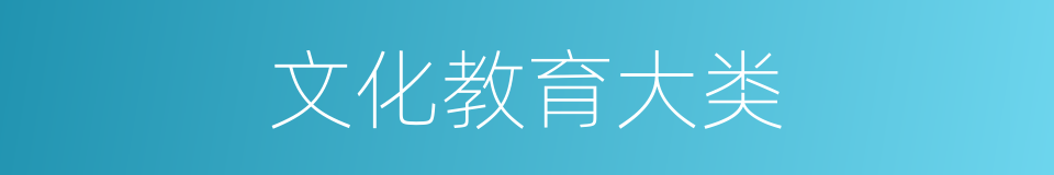 文化教育大类的同义词