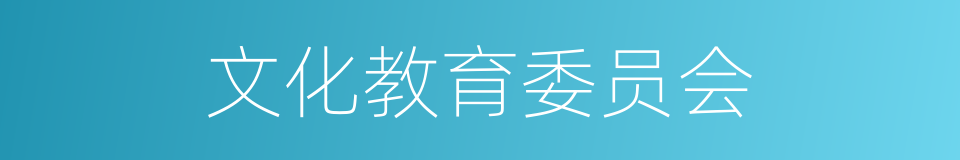 文化教育委员会的同义词