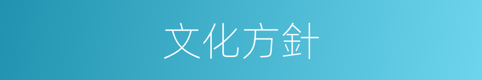 文化方針的同義詞