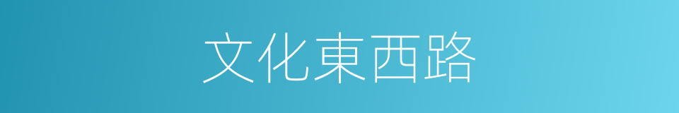 文化東西路的同義詞