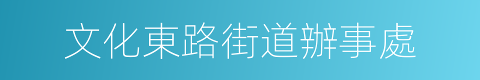 文化東路街道辦事處的同義詞