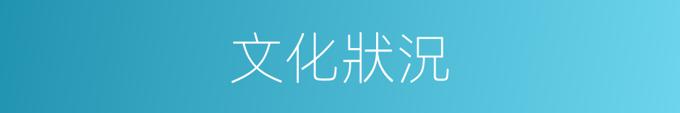 文化狀況的同義詞