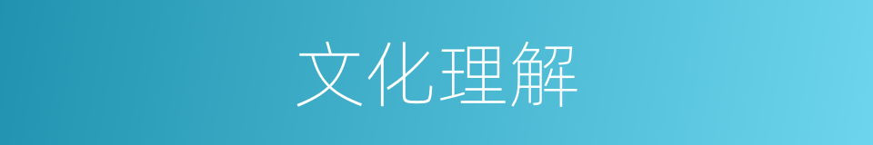 文化理解的同义词