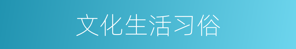 文化生活习俗的同义词