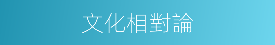 文化相對論的同義詞