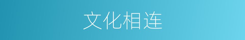 文化相连的同义词