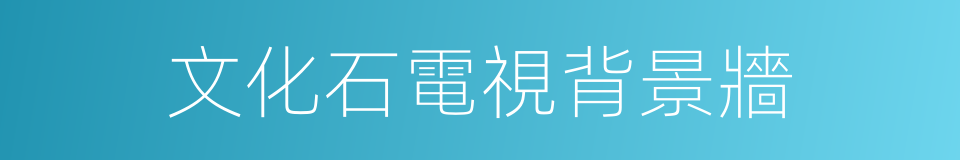 文化石電視背景牆的同義詞