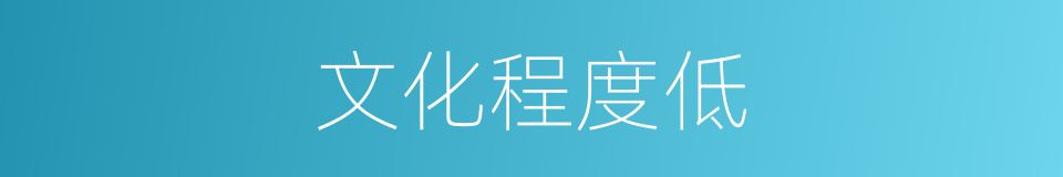 文化程度低的同义词