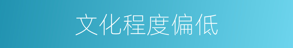 文化程度偏低的同义词