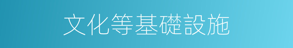 文化等基礎設施的同義詞