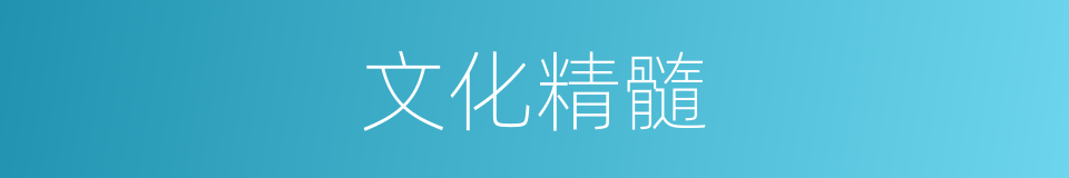 文化精髓的同义词