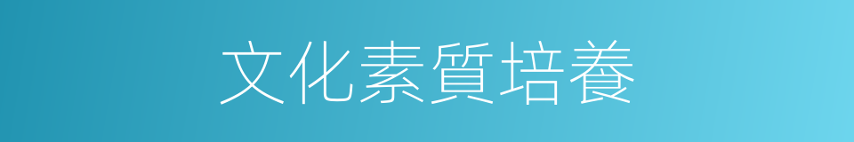 文化素質培養的同義詞