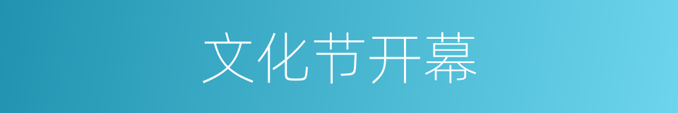 文化节开幕的同义词