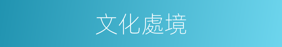 文化處境的同義詞