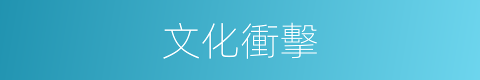 文化衝擊的同義詞