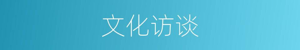 文化访谈的同义词