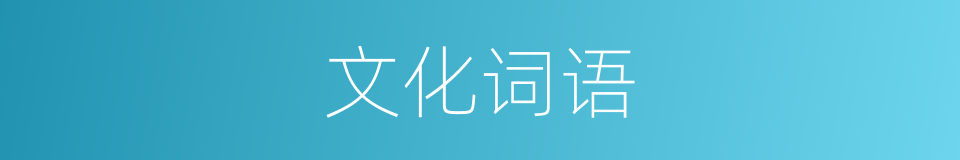 文化词语的同义词