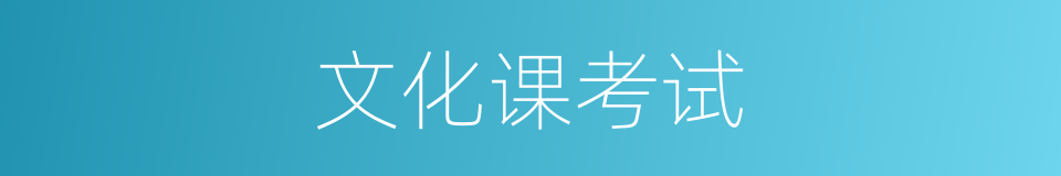 文化课考试的同义词