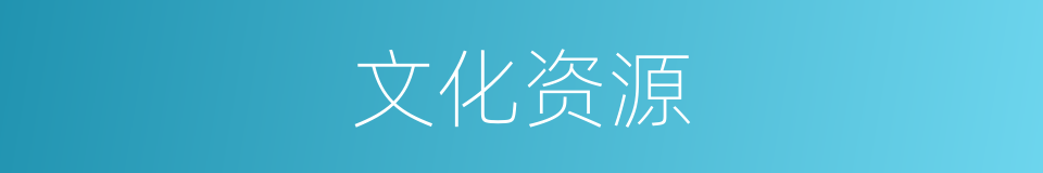 文化资源的同义词