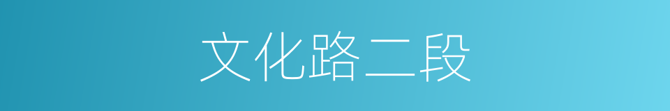 文化路二段的同义词