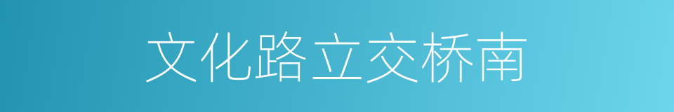 文化路立交桥南的同义词