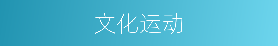 文化运动的同义词
