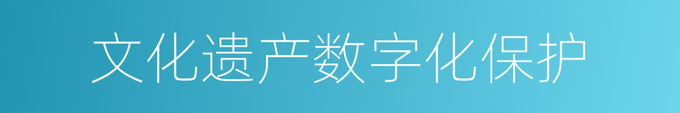 文化遗产数字化保护的同义词