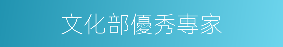 文化部優秀專家的同義詞