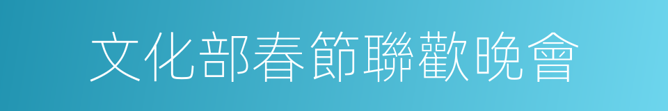 文化部春節聯歡晚會的同義詞