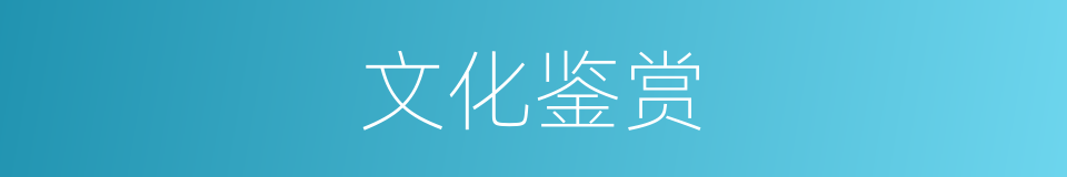 文化鉴赏的同义词