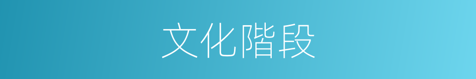 文化階段的同義詞