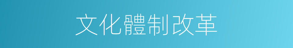 文化體制改革的同義詞