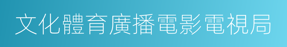 文化體育廣播電影電視局的同義詞