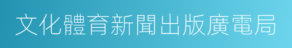 文化體育新聞出版廣電局的同義詞