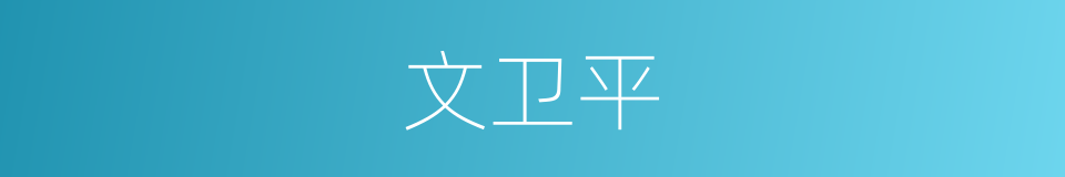 文卫平的同义词