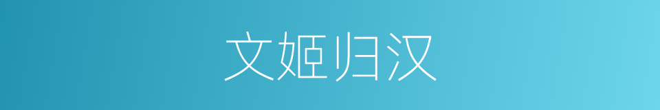 文姬归汉的同义词
