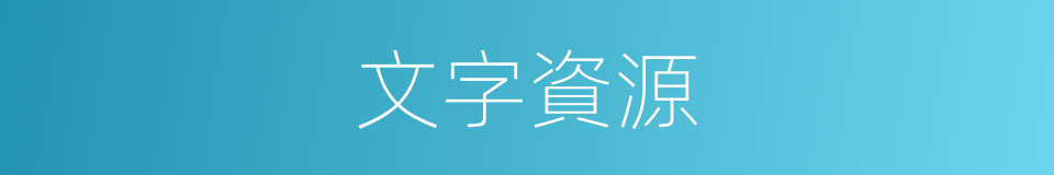 文字資源的同義詞