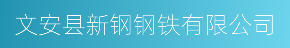 文安县新钢钢铁有限公司的同义词