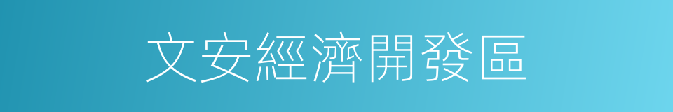 文安經濟開發區的同義詞