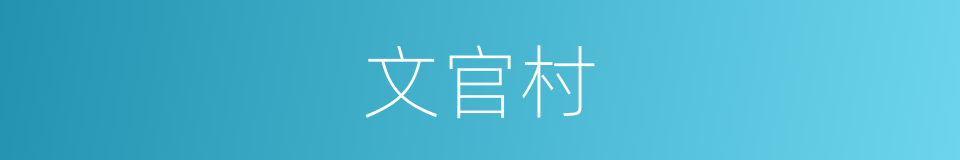 文官村的同义词