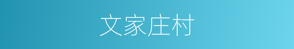 文家庄村的同义词