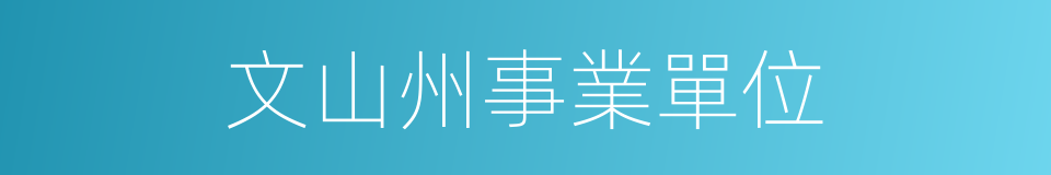 文山州事業單位的同義詞