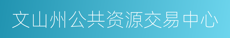 文山州公共资源交易中心的同义词