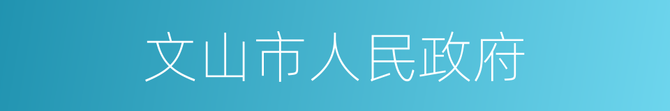 文山市人民政府的同义词