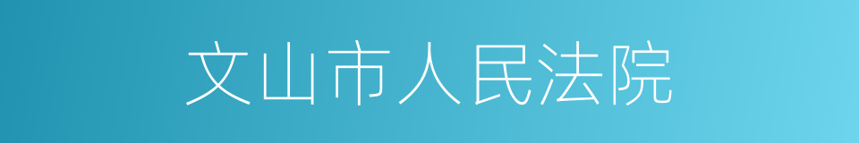 文山市人民法院的意思