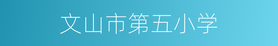 文山市第五小学的同义词