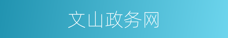 文山政务网的同义词